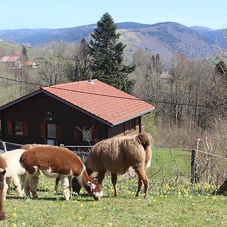Chalet Les Bouleaux, La Montagne Des Lamas La Bresse Esterno foto