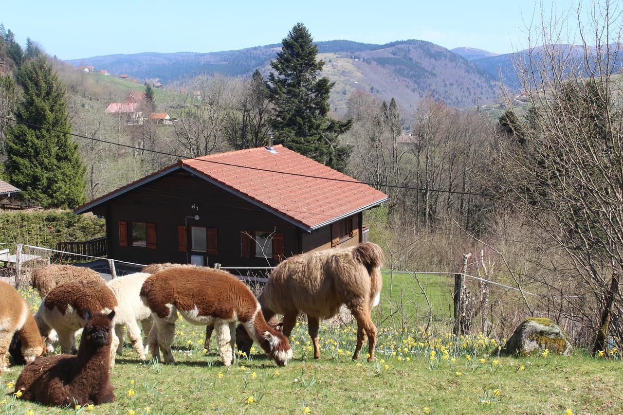 Chalet Les Bouleaux, La Montagne Des Lamas La Bresse Esterno foto