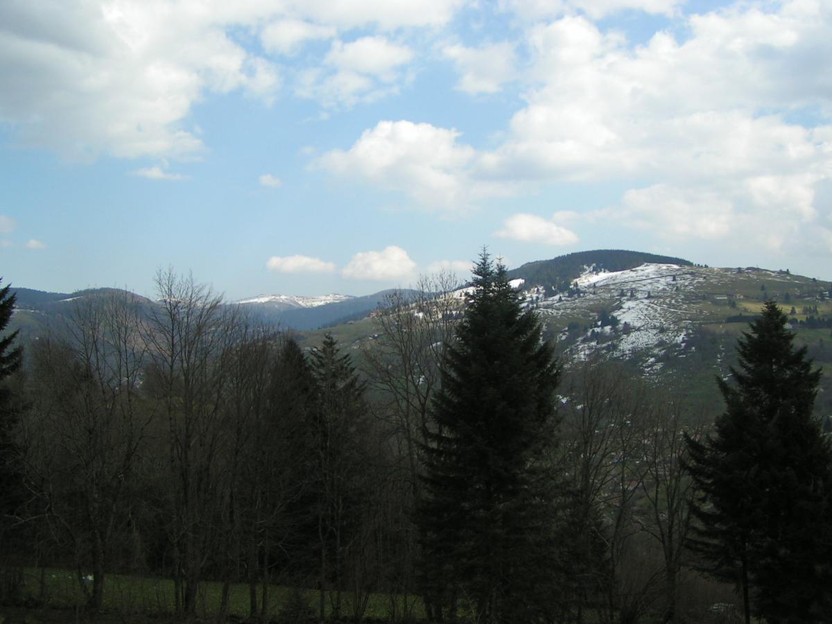 Chalet Les Bouleaux, La Montagne Des Lamas La Bresse Esterno foto